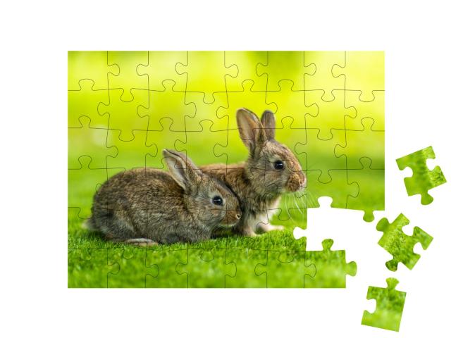 Puzzle de 48 pièces « Deux petits lapins dans la prairie verte »