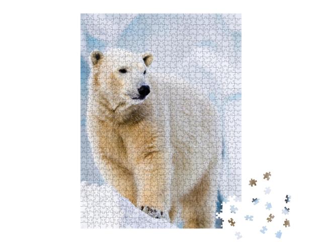 Puzzle de 1000 pièces « Jeune ours polaire debout sur un bloc de glace »