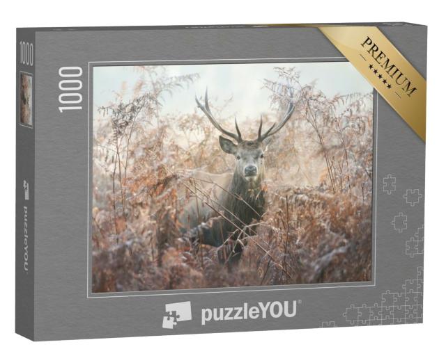 Puzzle de 1000 pièces « Portrait d'un cerf rouge par un matin d'automne brumeux »