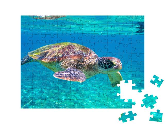 Puzzle de 100 pièces « Tortue de mer »