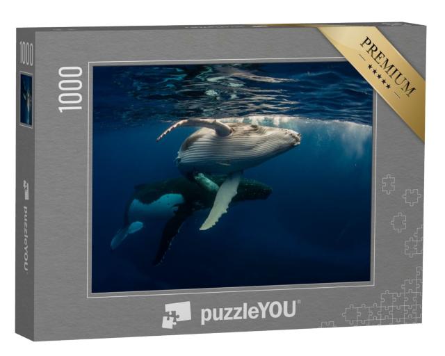 Puzzle de 1000 pièces « Baleine à bosse et bébé nageant juste sous la surface de l'eau »