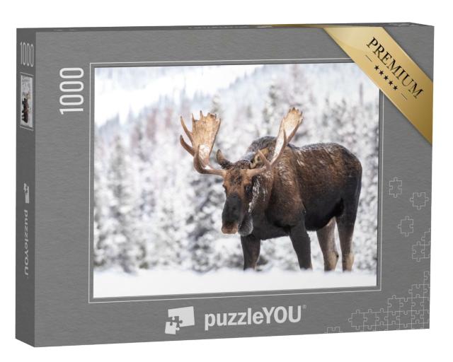 Puzzle de 1000 pièces « Elan dans la neige à Jasper, Canada »