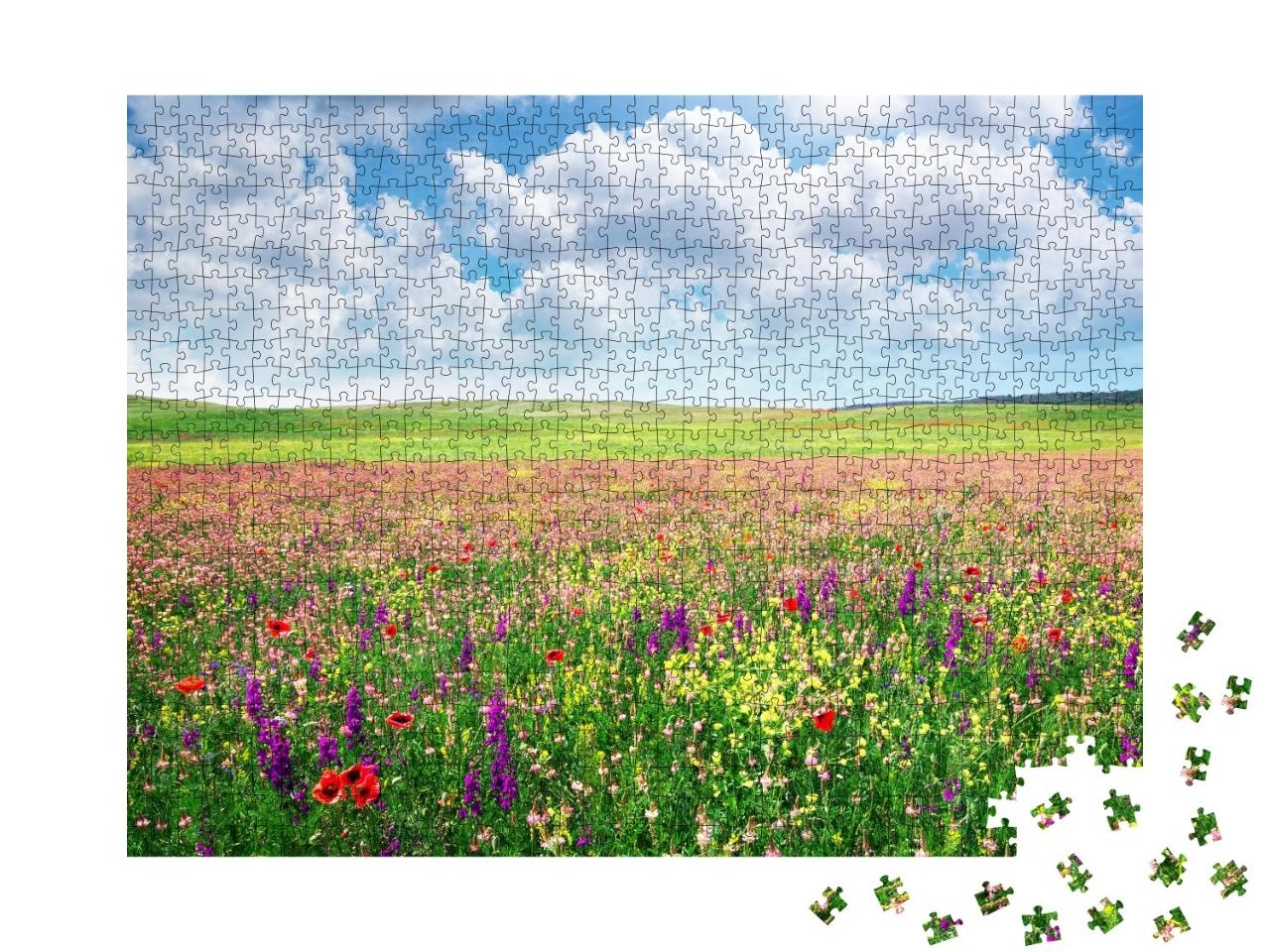 Puzzle de 1000 pièces « Prairie fleurie printanière »