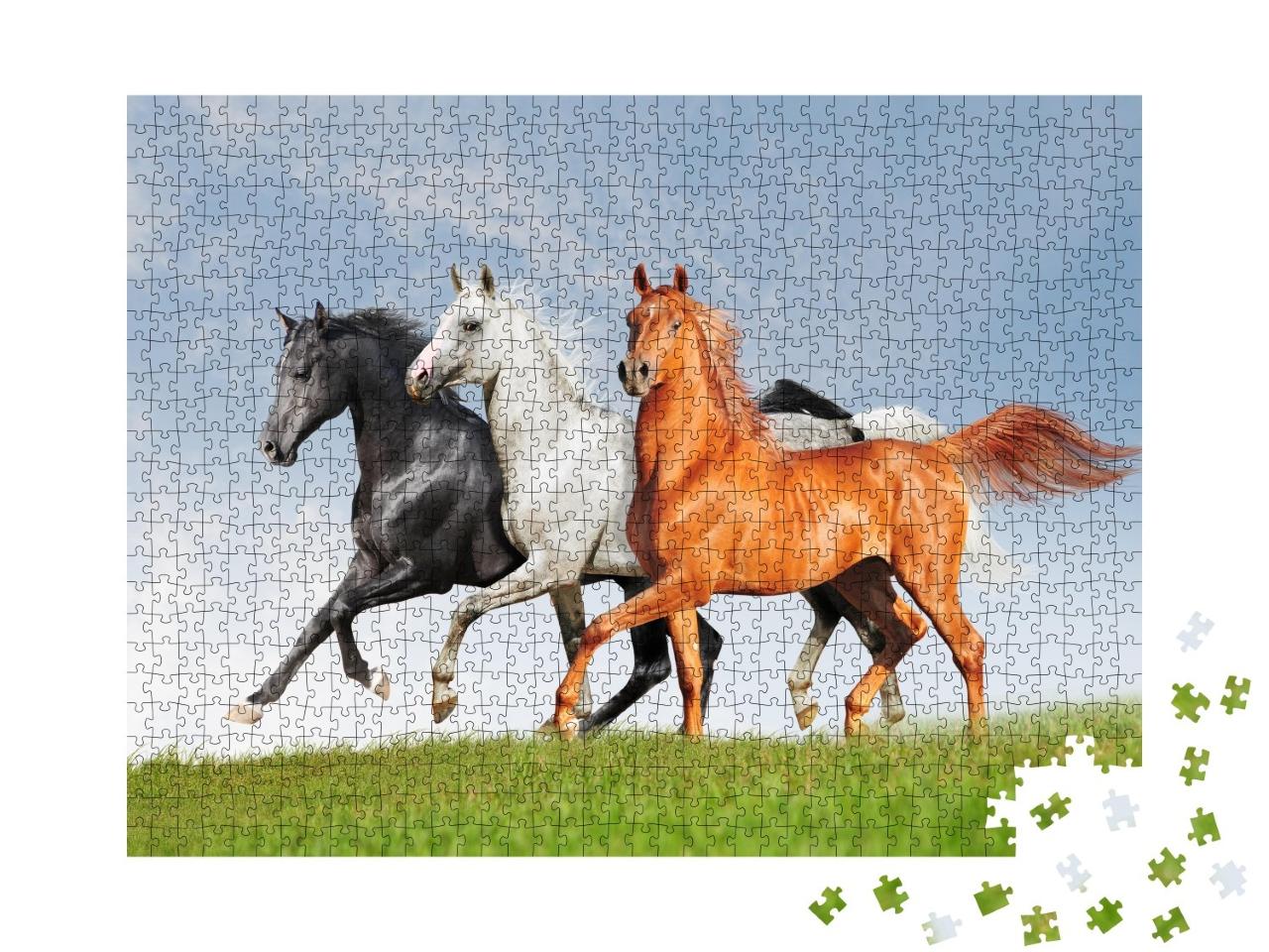 Puzzle de 1000 pièces « Trois chevaux arabes »