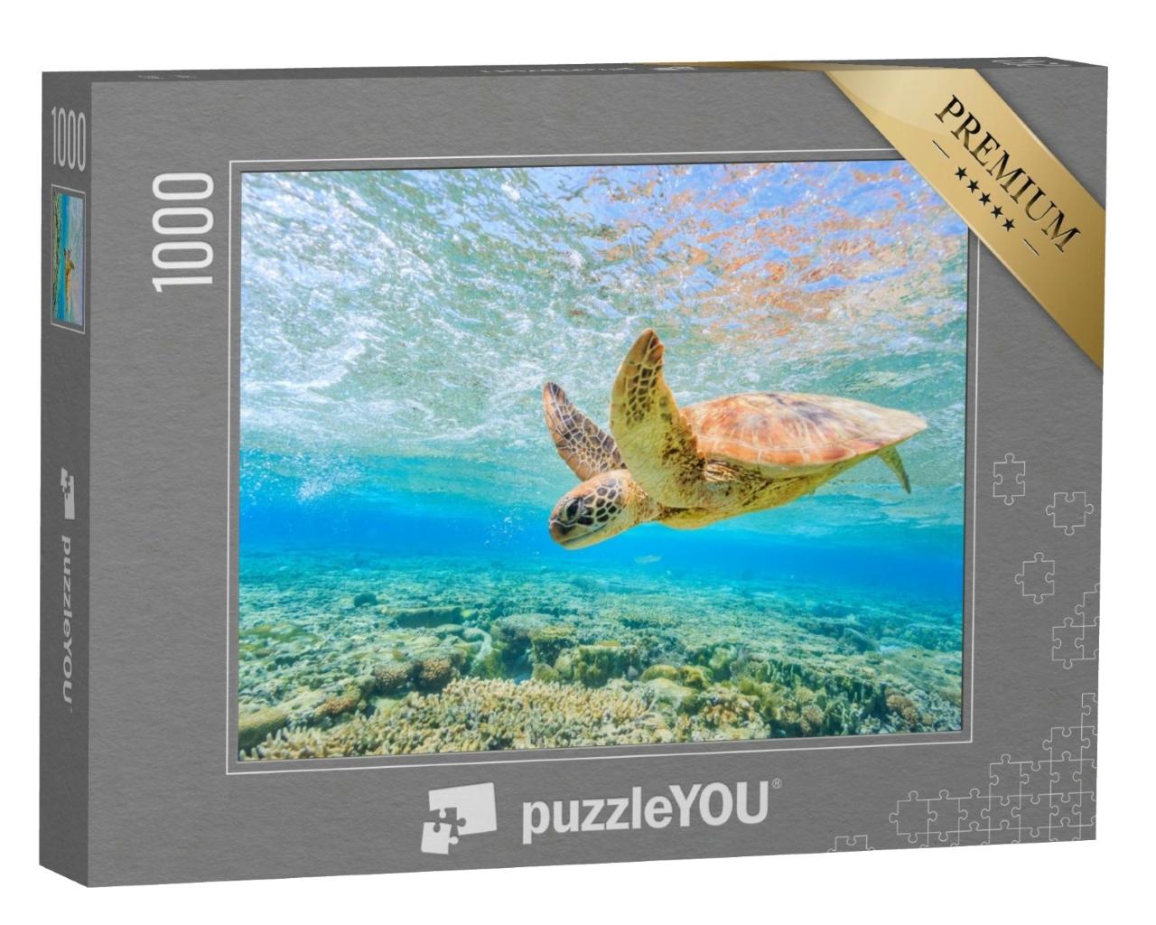 Puzzle de 1000 pièces « Une tortue plongeante, lagon de Lady Elliot Island »