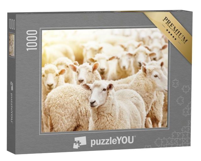 Puzzle de 1000 pièces « Gros plan sur un troupeau de moutons »