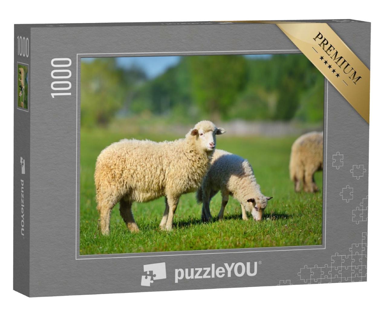 Puzzle de 1000 pièces « Deux jeunes moutons blancs dans une prairie d'herbe verte »