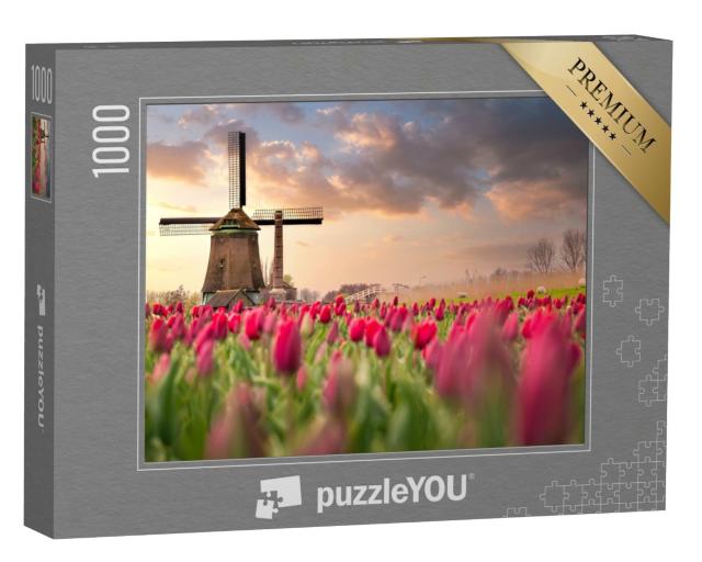 Puzzle de 1000 pièces « Champs de tulipes et moulins à vent aux Pays-Bas »
