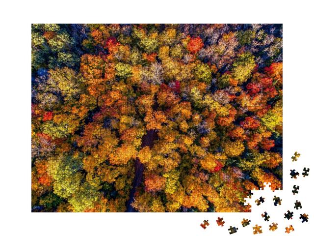 Puzzle de 1000 pièces « Magnifique forêt d'automne vue du ciel »