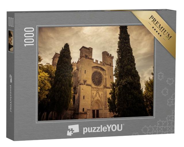 Puzzle de 1000 pièces « Vue paysagère de la cathédrale de Béziers »