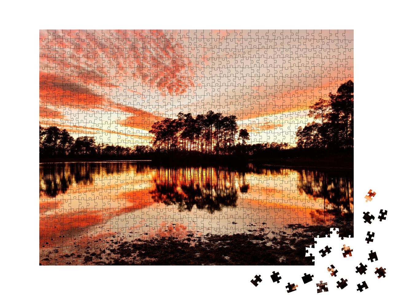 Puzzle de 1000 pièces « Lac de Long Pine Key, Parc national des Everglades, Floride »