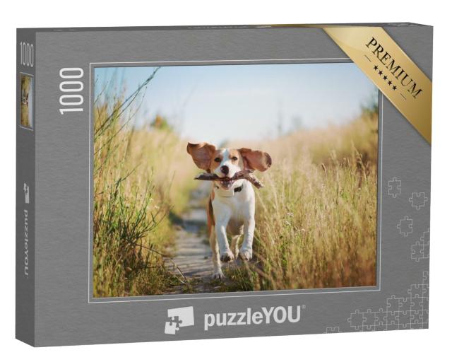 Puzzle de 1000 pièces « Un beagle avec un bâton »