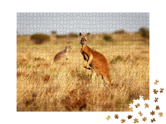 Puzzle de 1000 pièces « Kangourou rouge dans les prairies de l'outback australien »