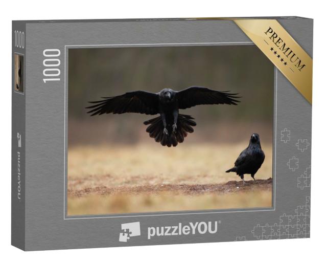 Puzzle de 1000 pièces « Grand Corbeau atterrissant avec les ailes grandes ouvertes »
