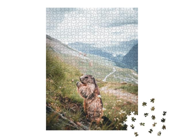 Puzzle de 1000 pièces « Marmotte des Alpes sur un versant de montagne en Autriche »