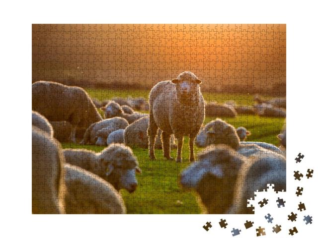 Puzzle de 1000 pièces « Troupeau de moutons au coucher du soleil »