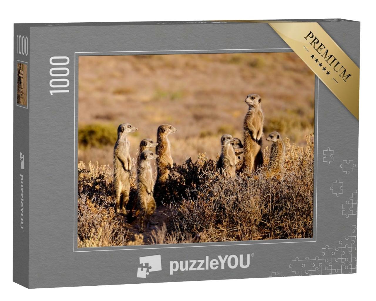 Puzzle de 1000 pièces « Une adorable famille de suricates au petit matin »
