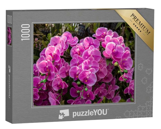 Puzzle de 1000 pièces « Mer de fleurs dans le jardin d'orchidées »