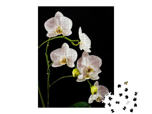 Puzzle de 1000 pièces « Branche d'orchidée blanche pleine de fleurs »