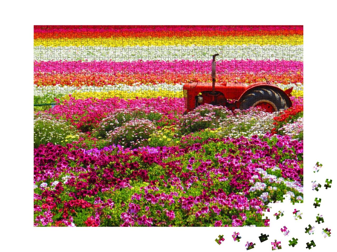 Puzzle de 1000 pièces « Tracteur au milieu des Carlsbad Flower Fields »