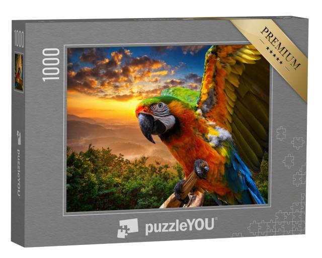 Cadre pour puzzle de 48 à 2000 pièces puzzleYOU