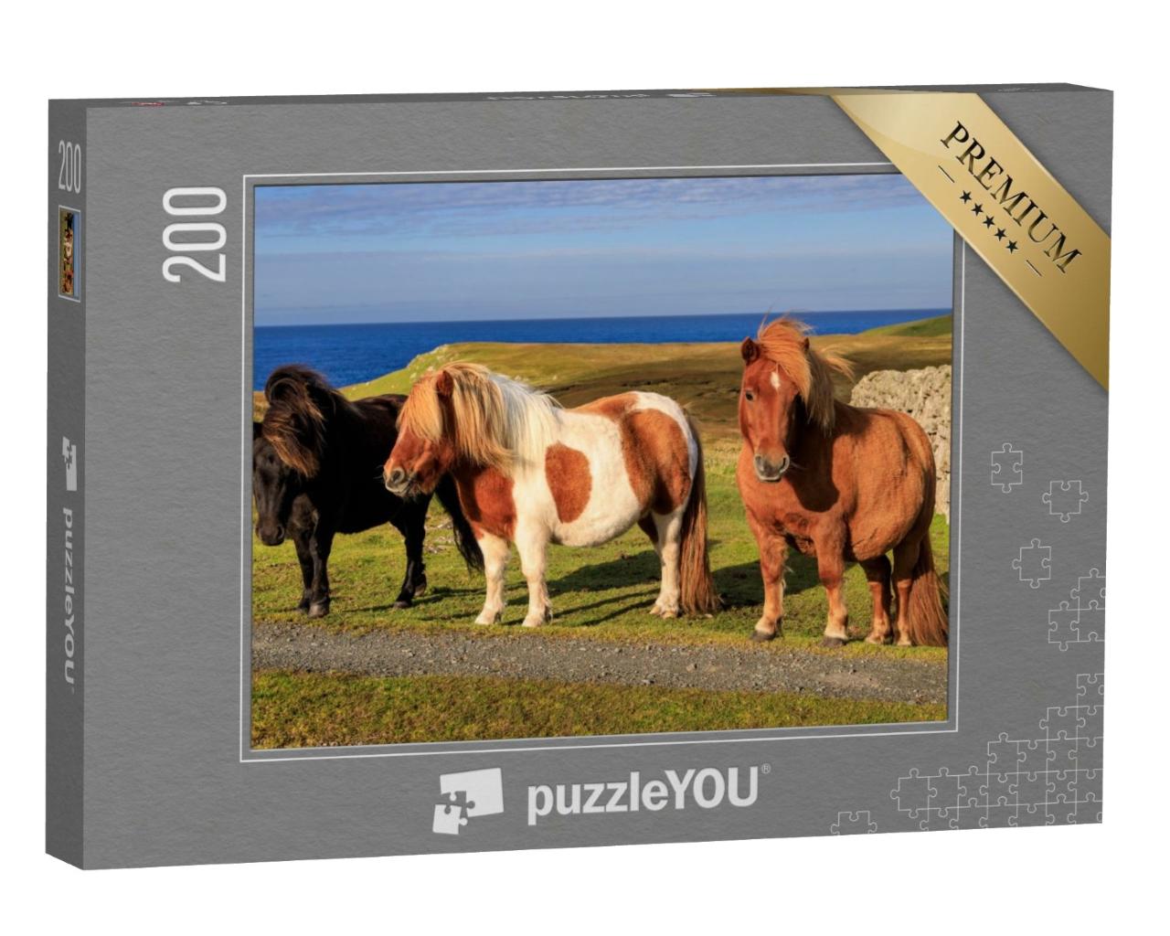 Puzzle de 200 pièces « Trois poneys Shetland sur la côte écossaise »