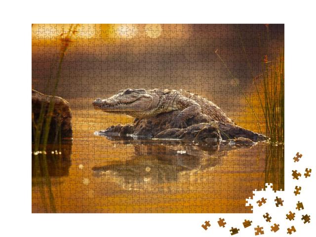 Puzzle de 1000 pièces « Le crocodile des marais, crocodile à museau large ou mugger »