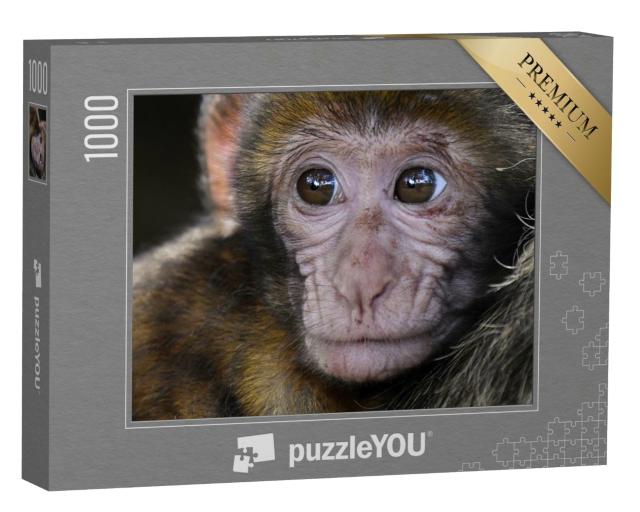 Puzzle de 1000 pièces « Un singe »
