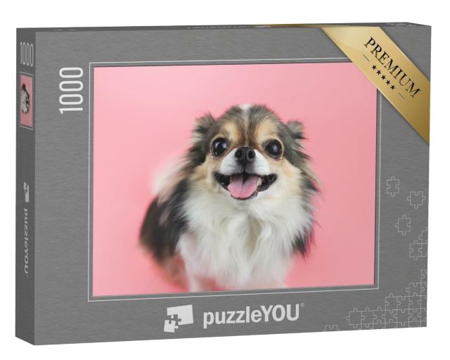 Puzzle de 1000 pièces « Chihuahua aux longs poils et à la langue rose »