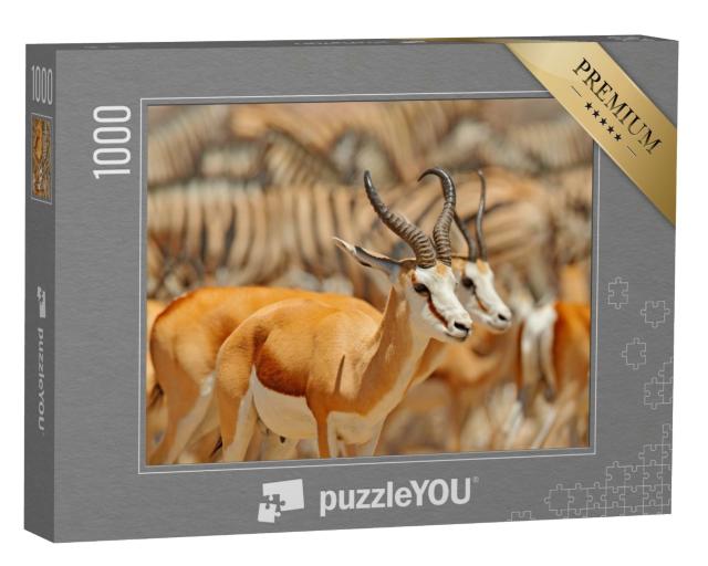 Puzzle de 1000 pièces « Un groupe d'animaux à un point d'eau, Namibie »