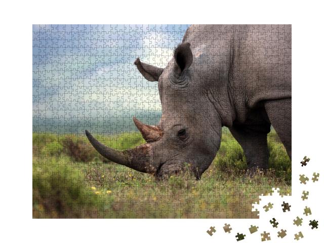 Puzzle de 1000 pièces « Gros plan sur un rhinocéros blanc »