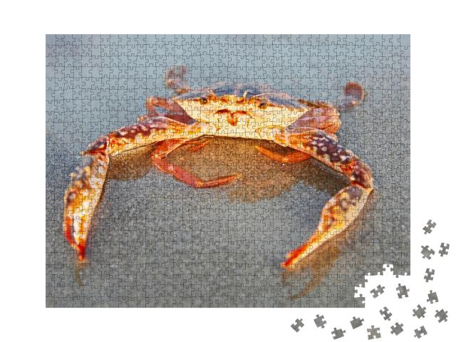 Puzzle de 1000 pièces « Crabe rouge sur la plage de Goa, Inde »