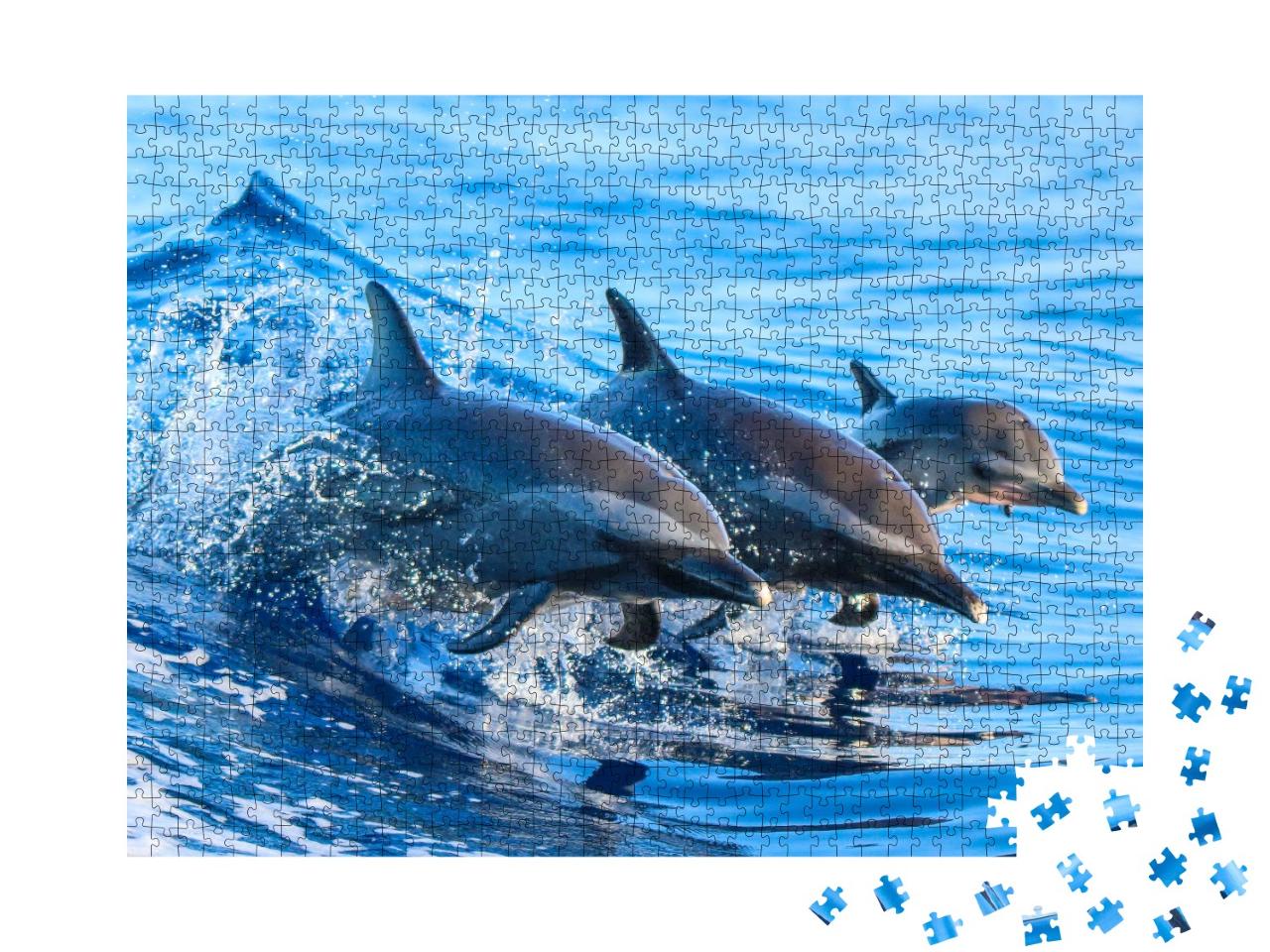 Puzzle de 1000 pièces « Une famille de dauphins tachetés saute hors des eaux claires au large d'Hawaï »