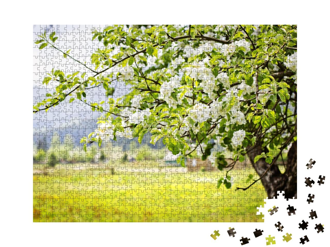 Puzzle de 1000 pièces « Pommier en fleurs »