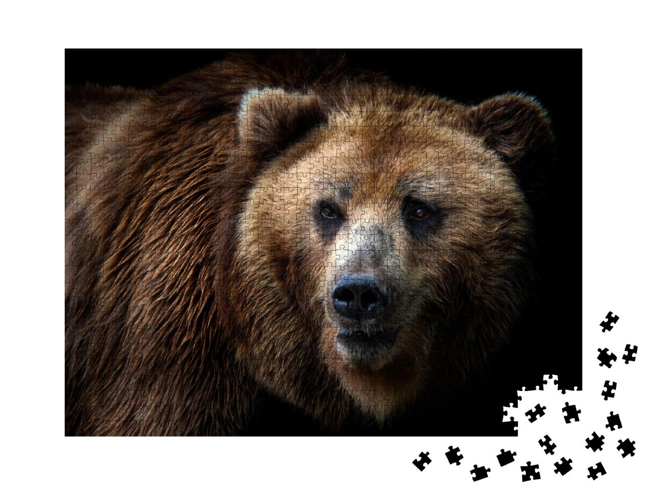 Puzzle de 1000 pièces « Un ours du Kamtchatka »