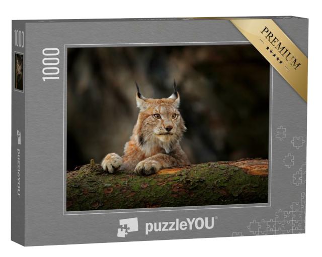 Puzzle de 1000 pièces « Un lynx attentif dans la forêt »