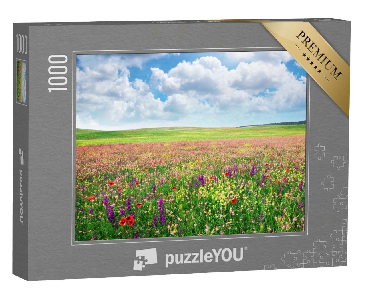 Puzzle de 1000 pièces « Prairie fleurie printanière »