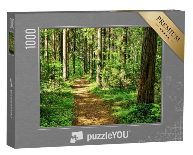 Puzzle de 1000 pièces « Scène de paysage en forêt : un chemin forestier idyllique »