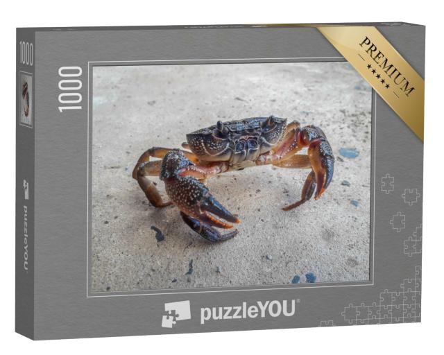 Puzzle de 1000 pièces « Le crabe noir »