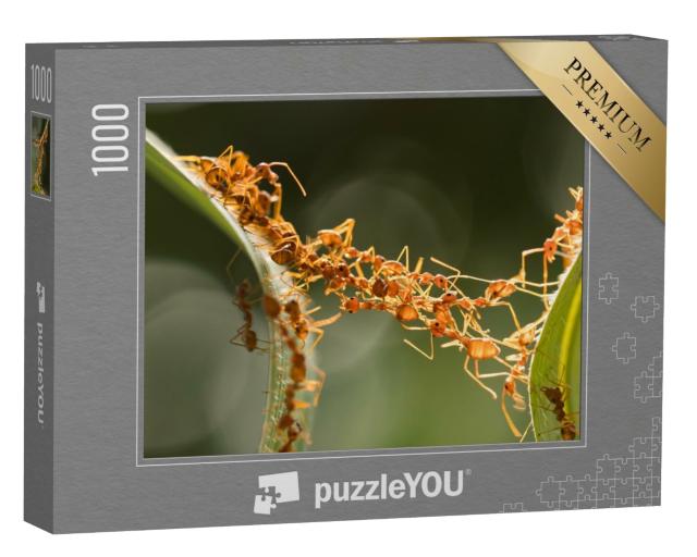 Puzzle de 1000 pièces « Un pont de fourmis »