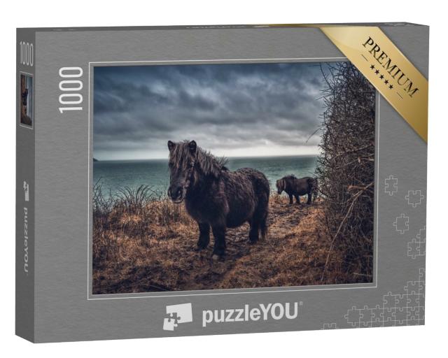Puzzle de 1000 pièces « Poneys Shetland sur la côte de Cornouailles »