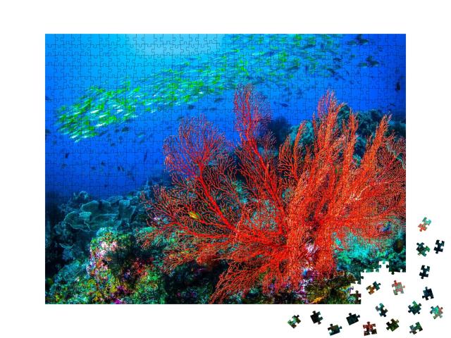 Puzzle de 1000 pièces « Corail rouge et banc de poissons coralliens »