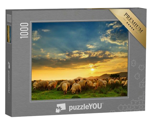 Puzzle de 1000 pièces « Un troupeau de moutons paissant sur une colline au coucher du soleil »