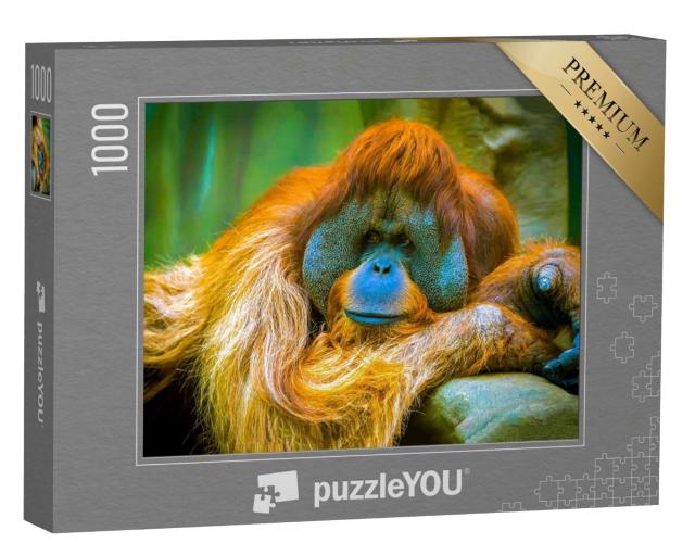 Puzzle de 1000 pièces « L'orang-outan est en pleine rêverie »
