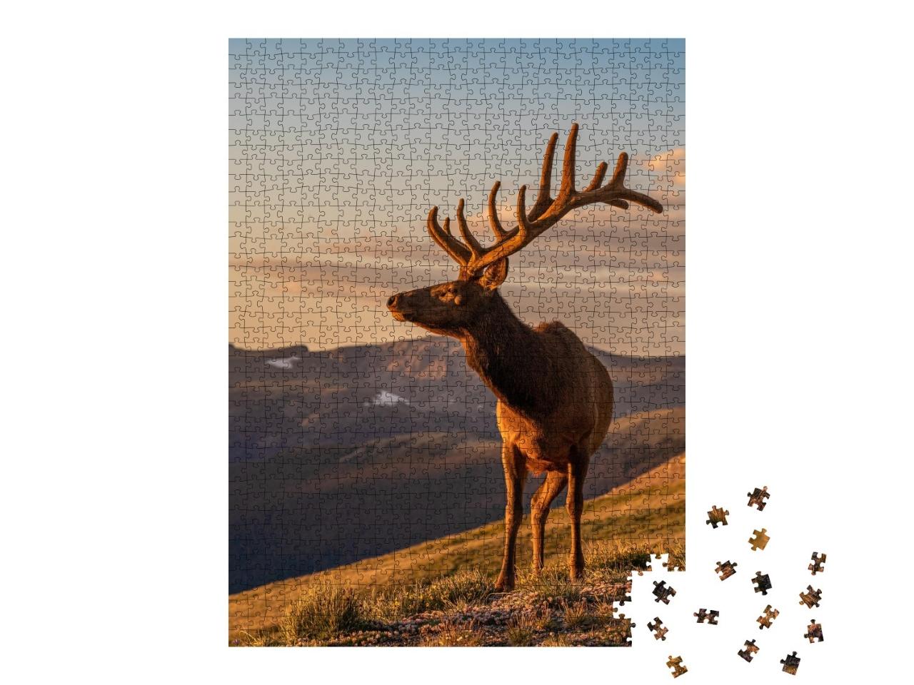 Puzzle de 1000 pièces « Élans sauvages »