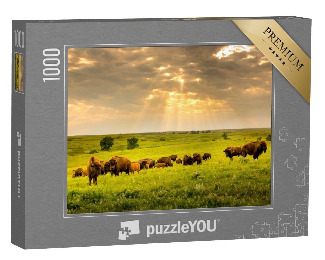 Puzzle de 1000 pièces « Un troupeau de bisons parcourt le Kansas »