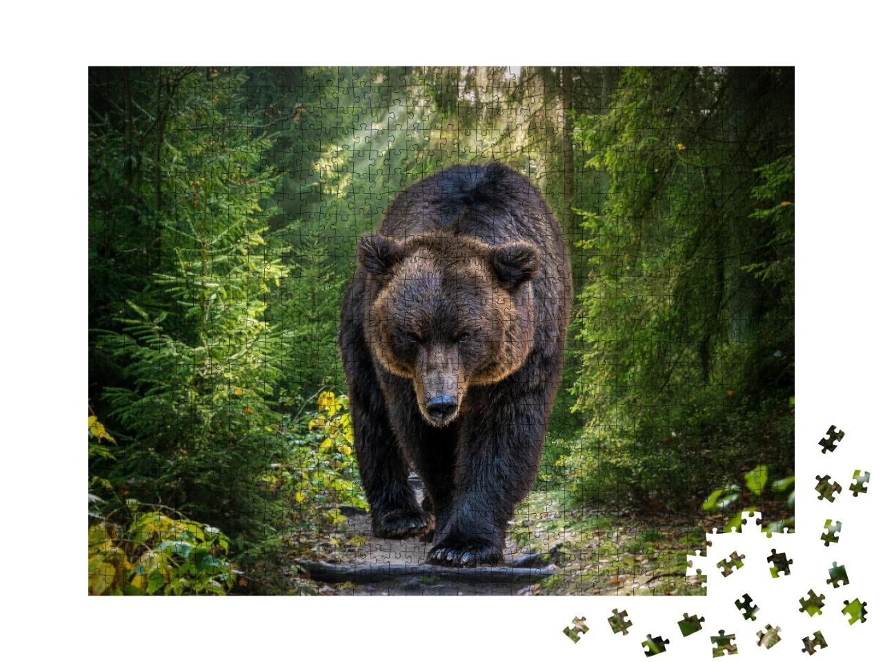 Puzzle de 1000 pièces « Un ours brun du Kamtchatka en gros plan »