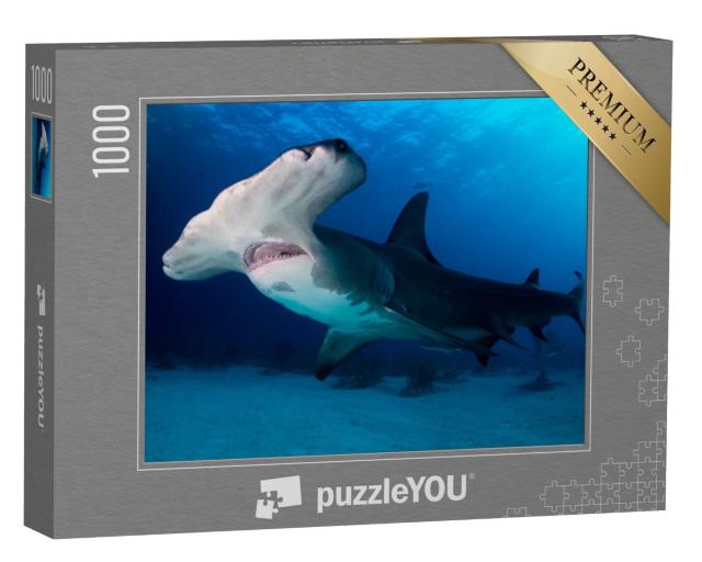 Puzzle de 1000 pièces « Grand requin marteau aux Bahamas »