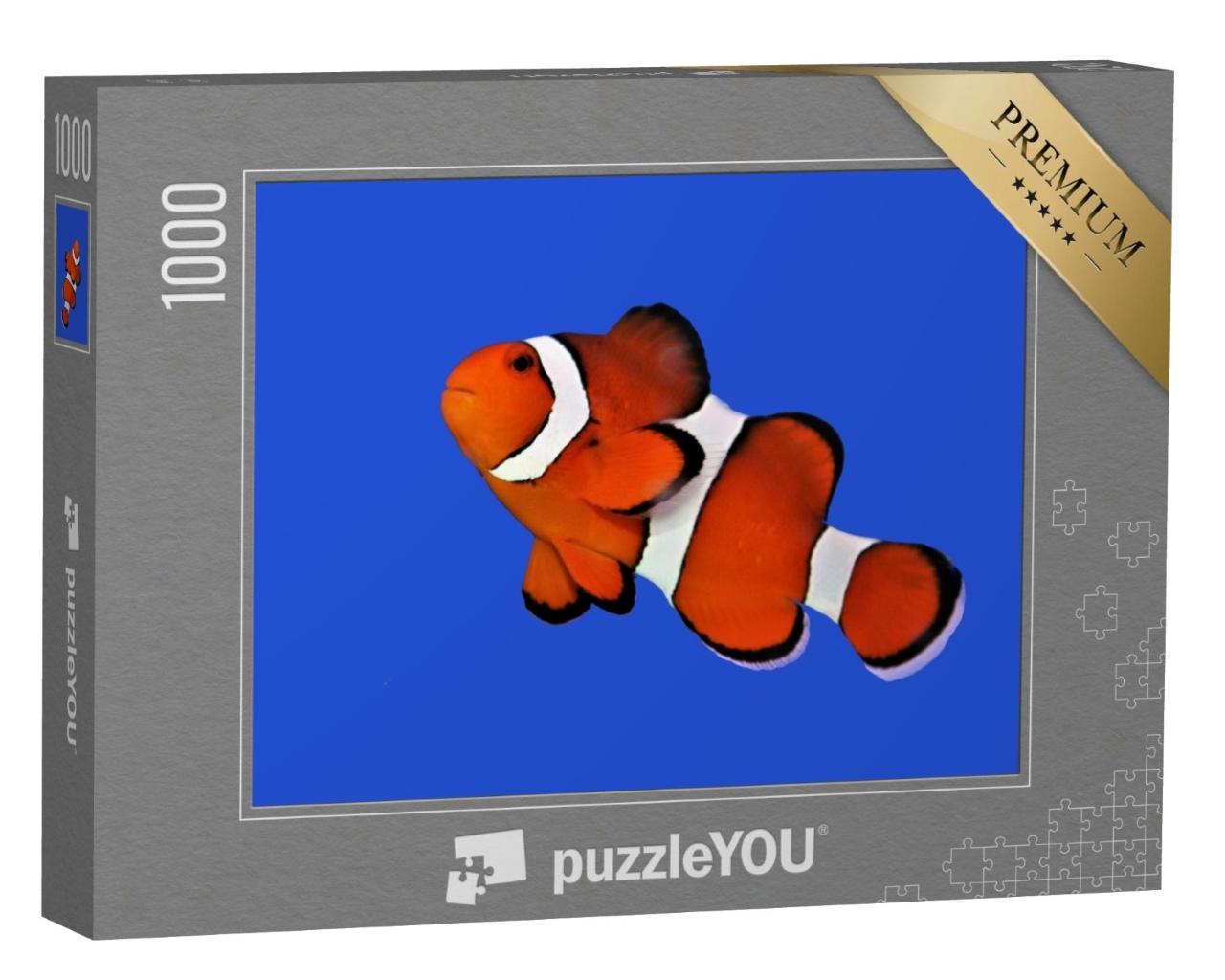 Puzzle de 1000 pièces « Poisson-clown orange, poisson-clown percula »