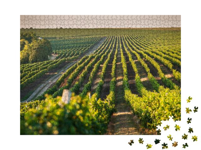 Puzzle de 1000 pièces « Vignoble pour la culture de la vigne en été »